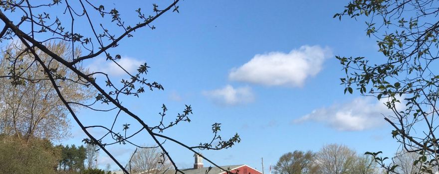 Brooksby Farm