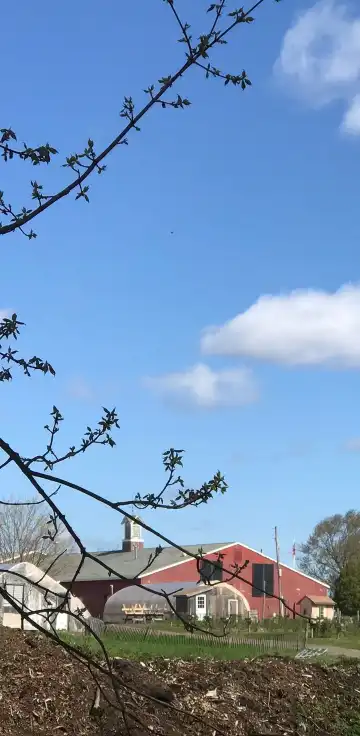 ピーボディのホテル