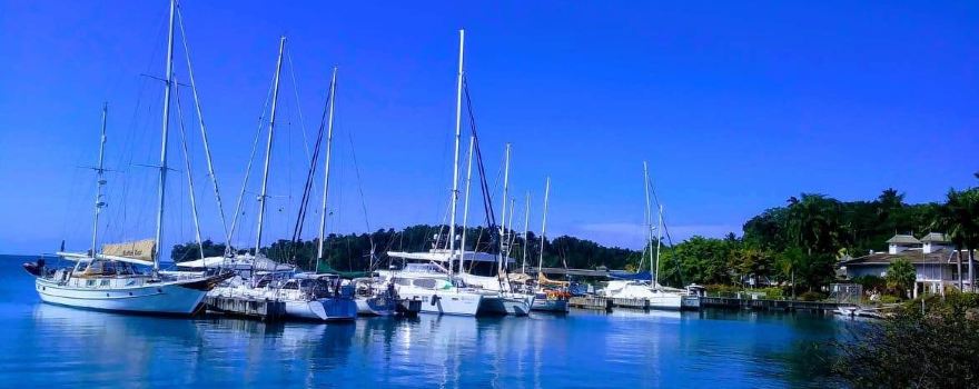 Errol Flynn Marina
