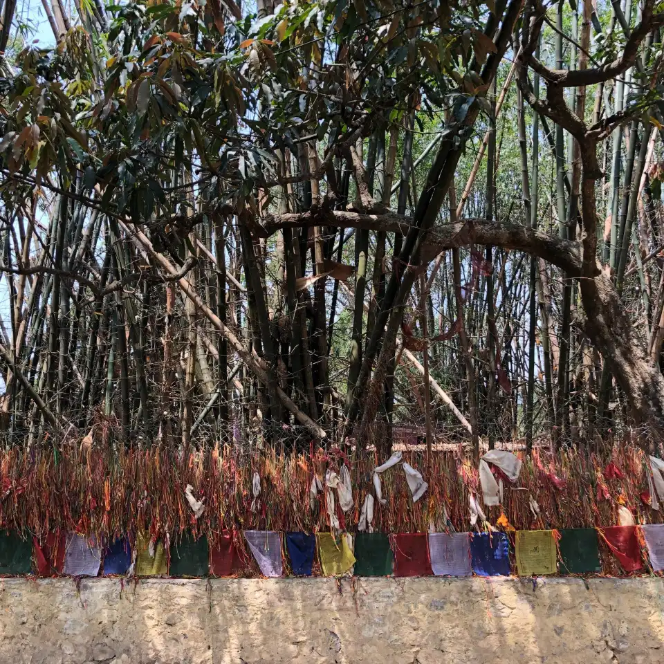2_Buddhasubba Temple