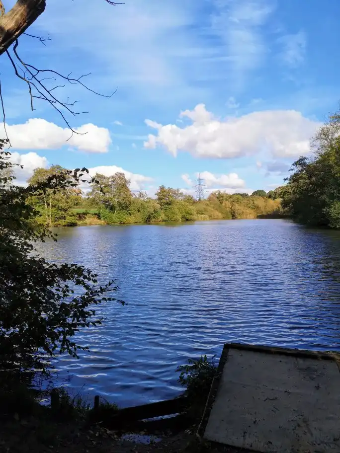 Hotels in Burgess Hill