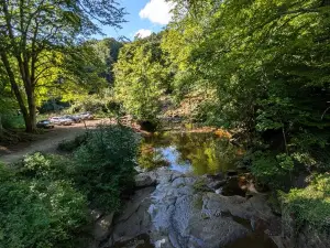 Falling Foss Tea Garden