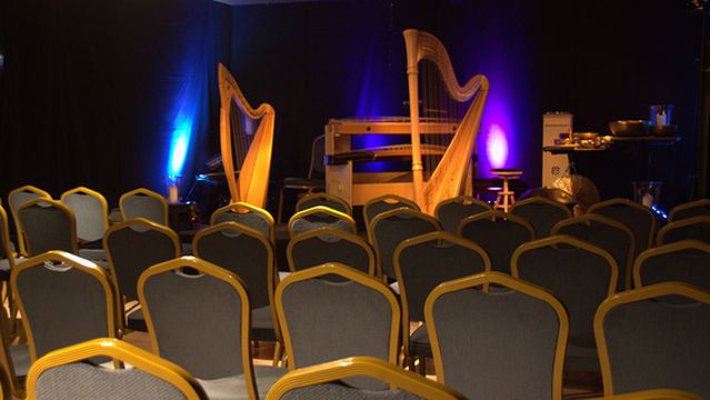 Luc Vanlaere Harpist