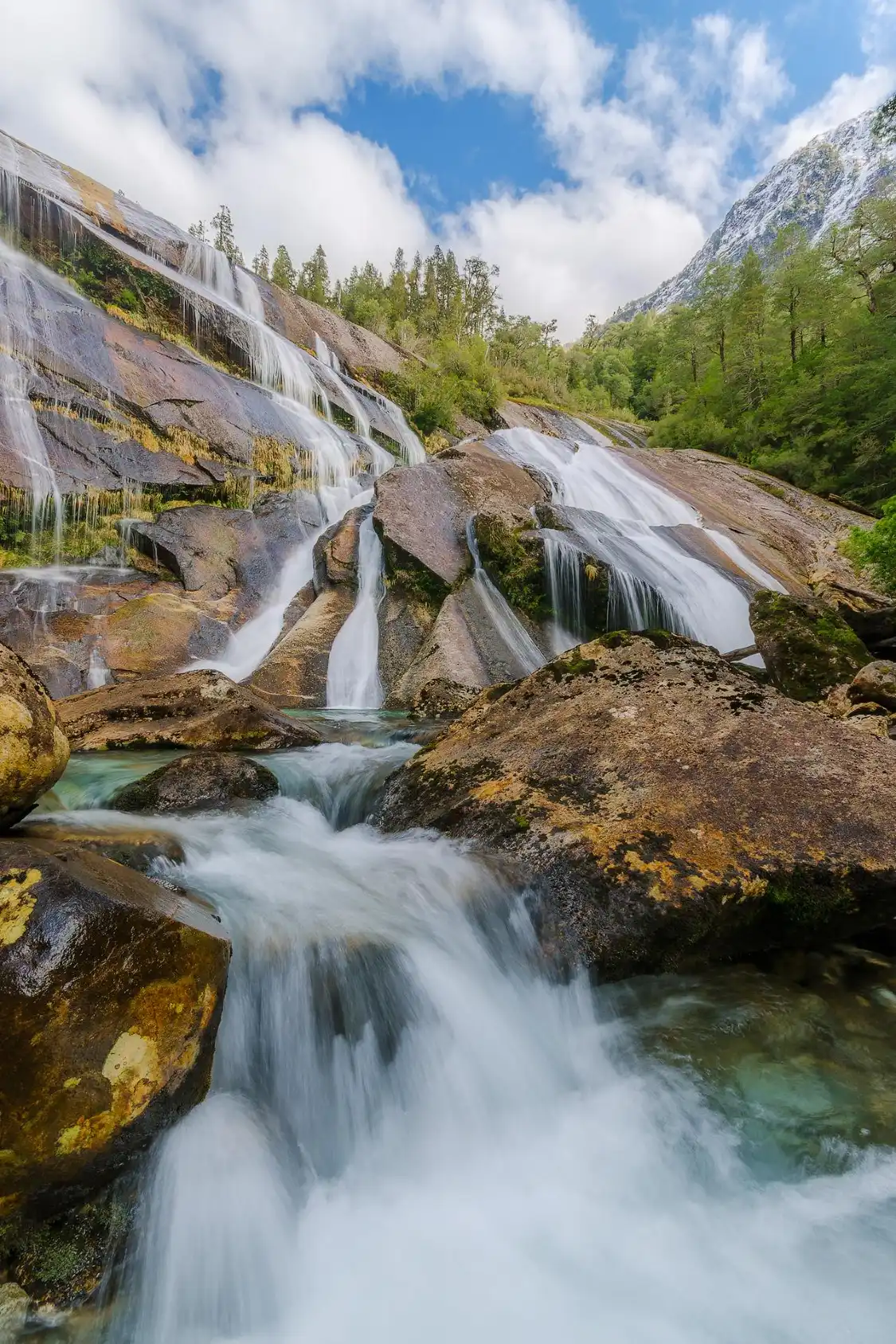 Parque Tagua-Tagua附近的飯店