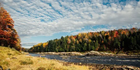 Parc des Rapides-du-Diable