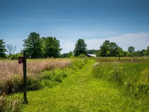 Petros Lake Park