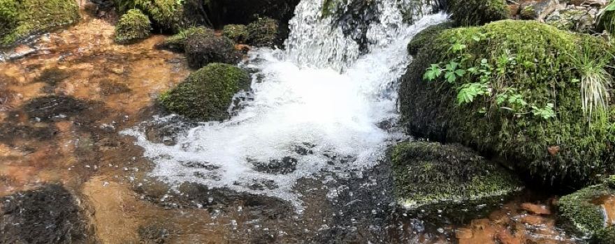Cascade de la Serva