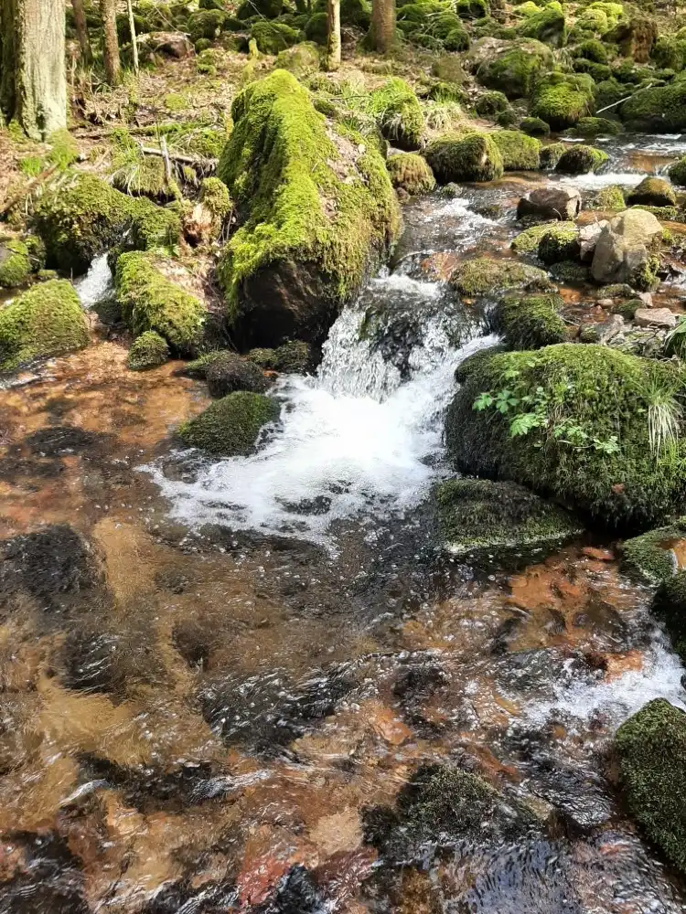 Hôtels à : Natzwiller