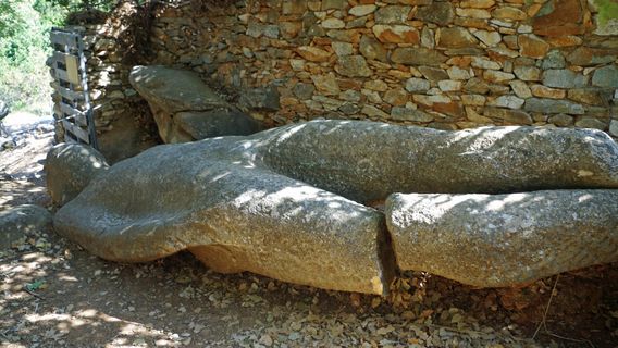 Flerio Melanes Kouros
