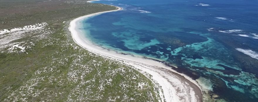Hangover Bay