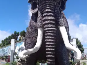 Paleontological Museum, Bolivar - Carchi