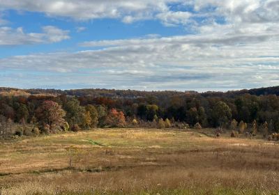 Owings Mills
