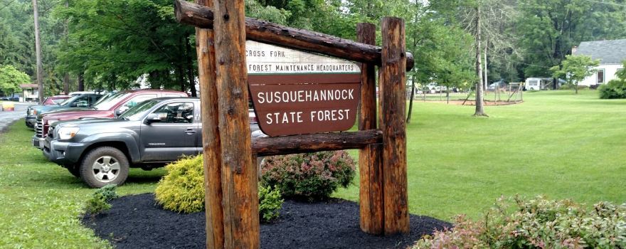 Susquehannock State Forest