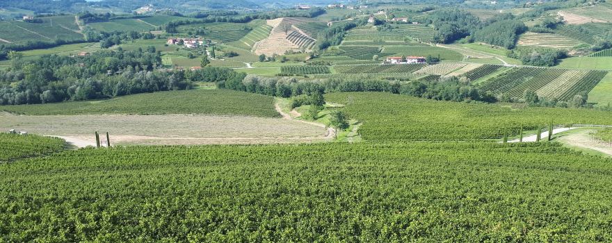 Azienda Agricola Livon