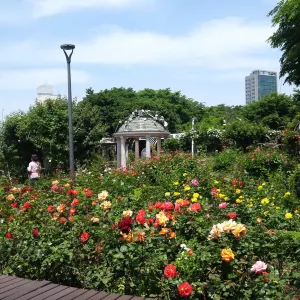 중랑장미공원