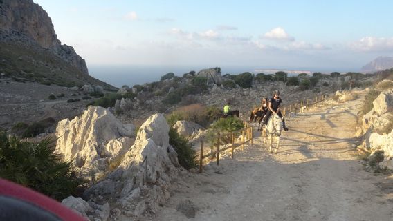 Cofano Trekking Horse Riding Sicily Occidental