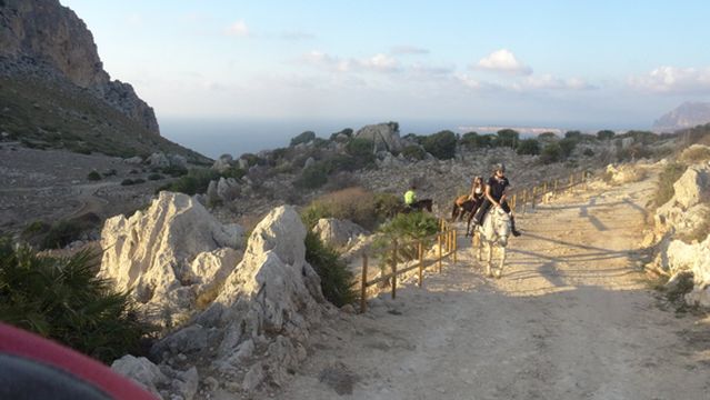 Cofano Trekking Horse Riding Sicily Occidental