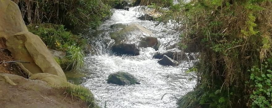 Chipaque