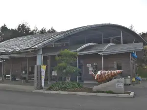 Nagi Vicarya Museum