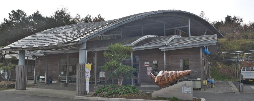 Nagi Vicarya Museum