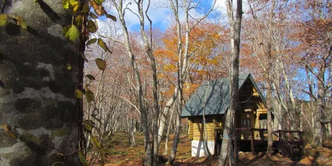 奧尻21世紀復興の森