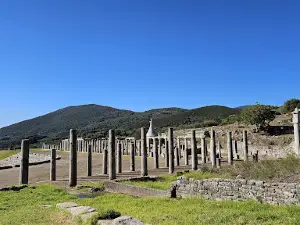 Archaeological Museum of Ancient Messene