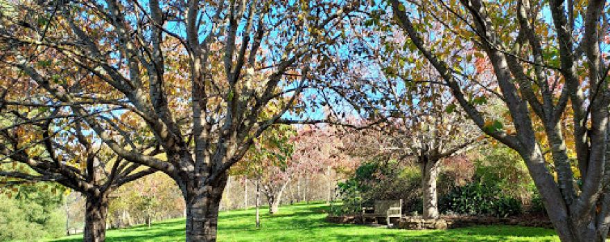 The Garden At Broughton Hall
