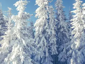 Skilift Eulenloch
