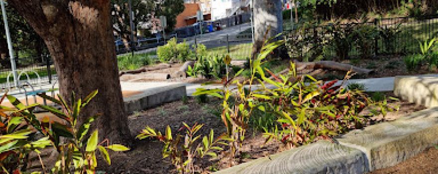 Robert Pymble Park