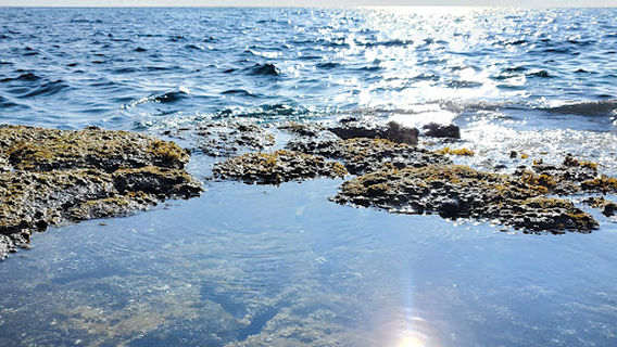 Captain Cook Monument Trail