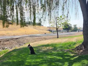 Grecian Heights Park