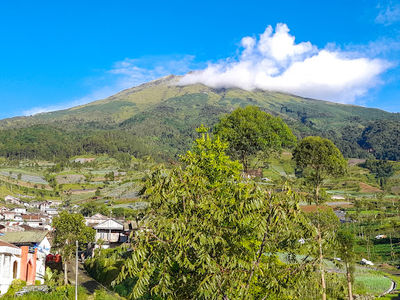 Basecamp Mangli Sumbing