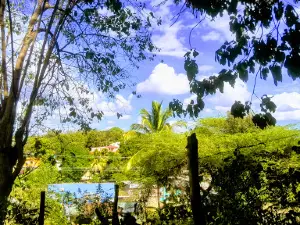 Parque La Libertad