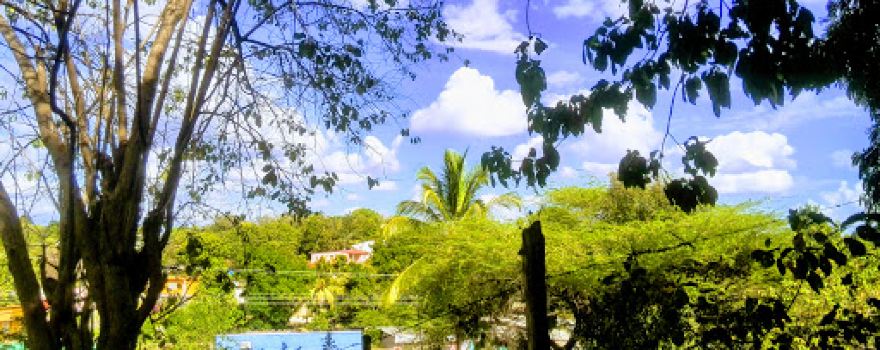 Parque La Libertad
