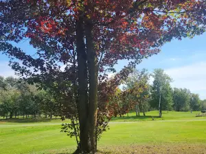 Club De Golf Acton Vale Inc