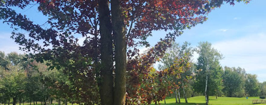 Club De Golf Acton Vale Inc