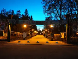 Park Dk Zheleznodorozhnikov