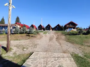 Telescaun Vatra Dornei terminal sus