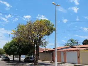 Christian Congregation in Brazil