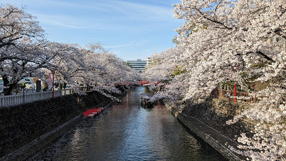 おおがき舟下り／たらい舟たらい船乗船場（春季のみ）