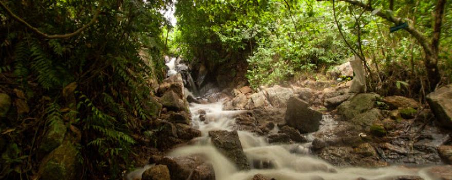 Pha-aok Waterfall