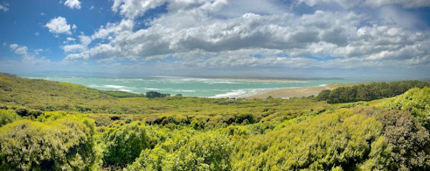 Scenic Reserve