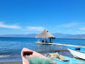Palmar de Ocoa