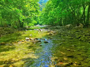 Gorges Oued Dar El Oued