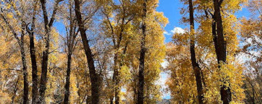 Hot Sulphur Springs Campground