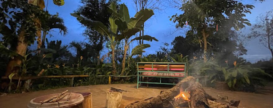 The Lazy Farm - Farmstay & Glamping