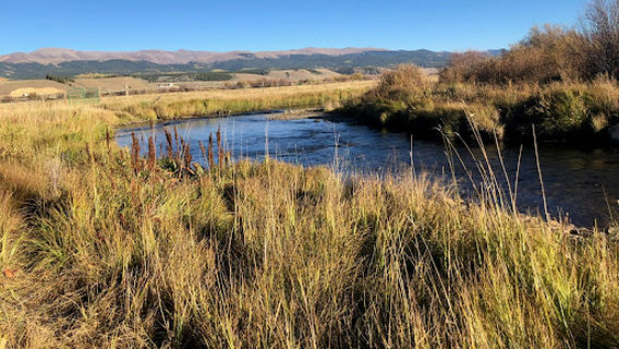 Colorado Fly Fishing Guides