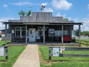 Amish Welcome Center - Wagon Tours
