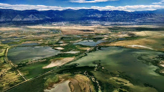 Farmington Bay Waterfowl Management Area