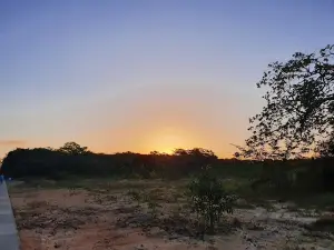 Do Itapiracó Reserve (South Wing)